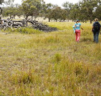 Carnarvon National Park camping - Tourism Hervey Bay