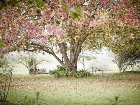 WillOaks B&B - Tourism Hervey Bay 8