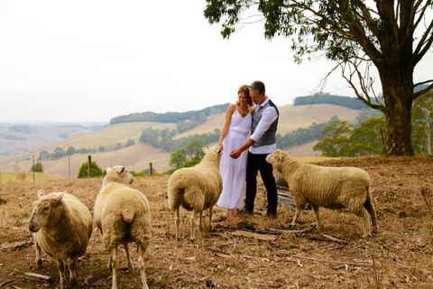 Halcyon Cottage Retreat - Self Contained Accommodation - Hervey Bay Accommodation 2