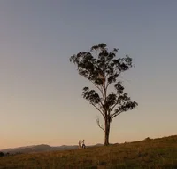 Faulls Ridge Winery - Hervey Bay Accommodation