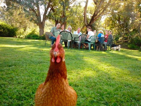 Baranduda Homestead B&B Cottages - Hervey Bay Accommodation 9