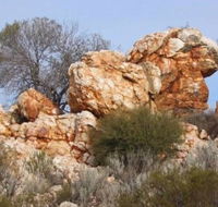 Credo Homestead Camp at Credo Conservation Park - Tourism Hervey Bay