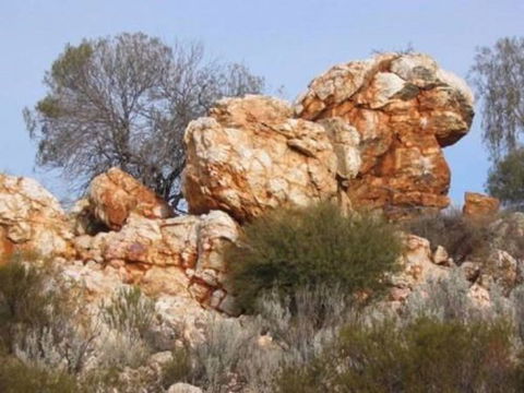 Credo Homestead Camp At Credo Conservation Park - Hervey Bay Accommodation 0