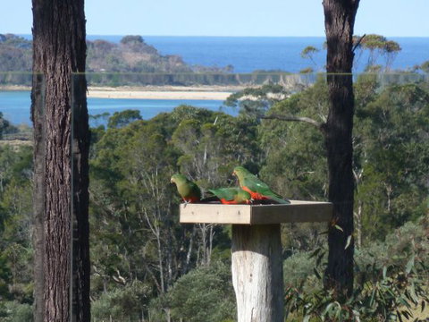 Indigo Couples Retreat Murrah Beach - Hervey Bay Accommodation 8