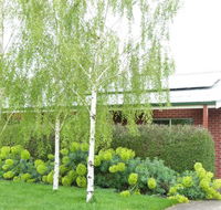 Birralee Cottage - Tourism Hervey Bay