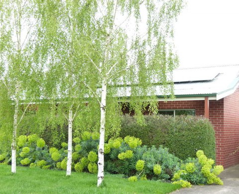 Birralee Cottage - Hervey Bay Accommodation 0