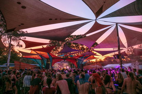 Hillsview Country Estate - Hervey Bay Accommodation 6