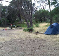 Allports Beach Camping Ground - Hervey Bay Accommodation