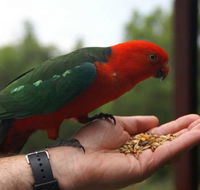 Barrington Tops Escapes - Hervey Bay Accommodation