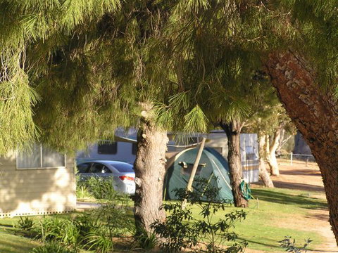 Barmera North Lake Caravan Park - Hervey Bay Accommodation 0