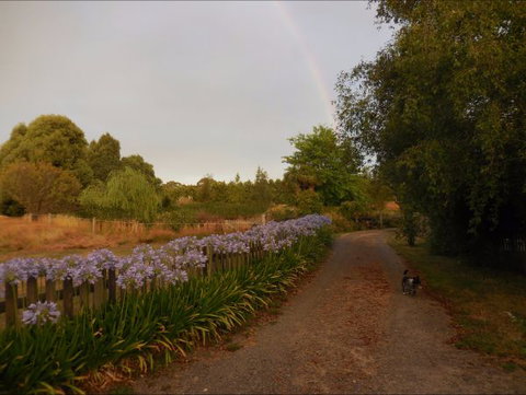 Bunjil Farm - Hervey Bay Accommodation 5