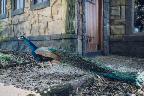 Castle Suites - Kryal Castle - Hervey Bay Accommodation 5