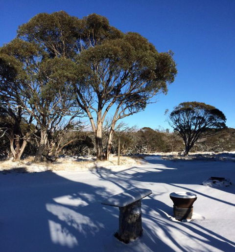 Cloud 9 Alpine Lodge - Hervey Bay Accommodation 9