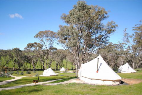 Cosy Tents - Tourism Hervey Bay 5