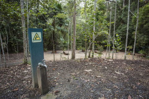 Eungella National Park Camping Ground - Hervey Bay Accommodation 2