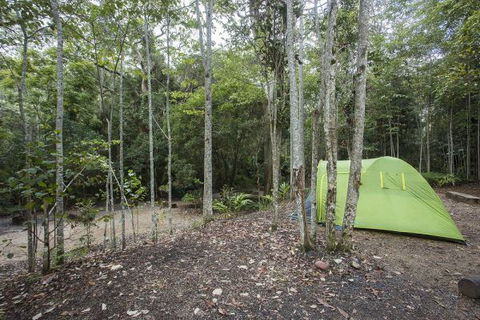 Eungella National Park Camping Ground - Hervey Bay Accommodation 3