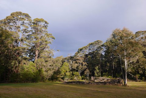 Fernhill Chestnut Farm - Hervey Bay Accommodation 2