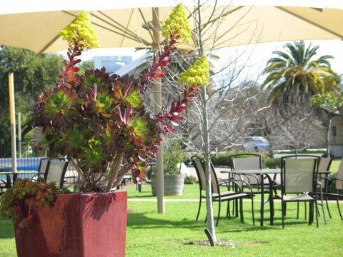 Golden Chain Wine Village Motor Inn - Hervey Bay Accommodation 3