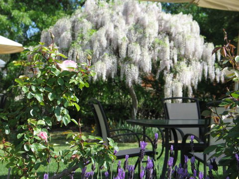 Golden Chain Wine Village Motor Inn - Hervey Bay Accommodation 5