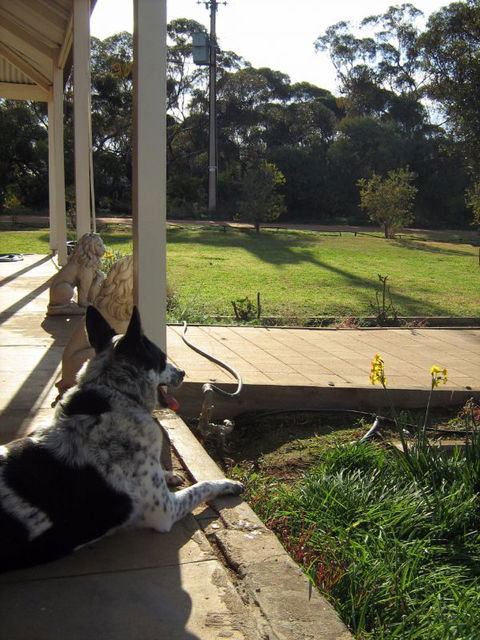 Great Grandpa Henry Retreat - Hervey Bay Accommodation 4