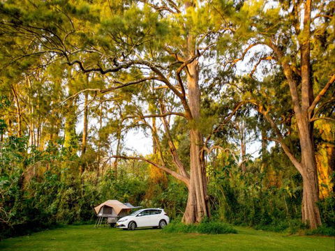 Ingenia Holidays Nepean River - Hervey Bay Accommodation 1
