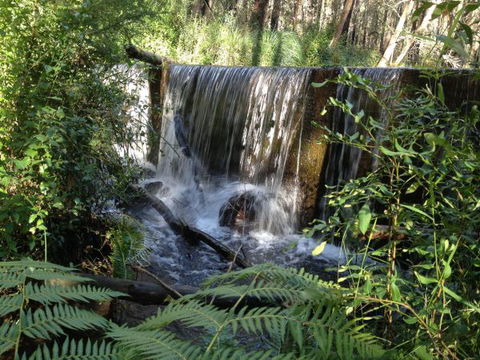 Kinglake Forest Adventures Camp - Tourism Hervey Bay 1