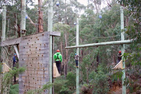 Kinglake Forest Adventures Camp - Tourism Hervey Bay 2