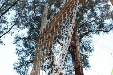 Kinglake Forest Adventures Camp - Tourism Hervey Bay 4