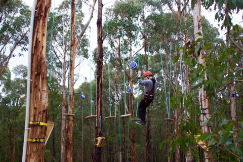 Kinglake Forest Adventures Camp - Tourism Hervey Bay 5