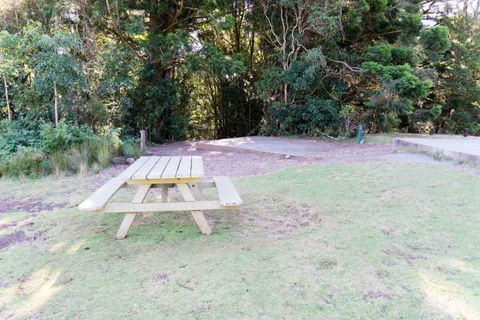 Lamington National Park Camping Ground - Hervey Bay Accommodation 2