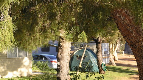 Barmera North Lake Caravan Park - Hervey Bay Accommodation 4