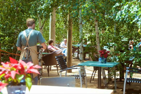Oakdene Vineyards Guesthouse - Hervey Bay Accommodation 5