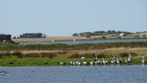 Peppertree Cottage - Tourism Hervey Bay 3