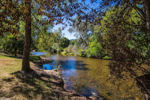 Porepunkah Bridge Holiday Park - Hervey Bay Accommodation 5