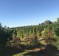 Rutherglen Christmas Trees Farm Stay - Hervey Bay Accommodation