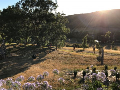 Shearer's Hill - Luxury Farm Stay - Hervey Bay Accommodation 9