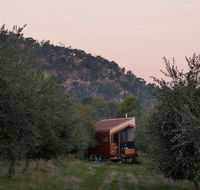 Shacky in the Olive Grove - Hervey Bay Accommodation