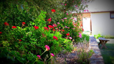 The Pig And Whistle - Hervey Bay Accommodation 4