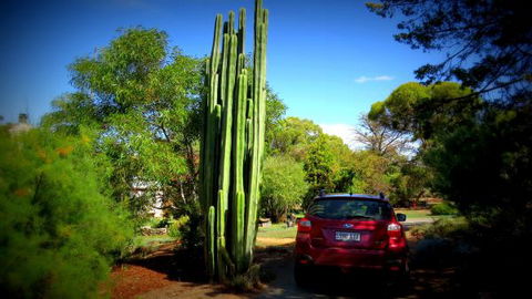 The Pig And Whistle - Hervey Bay Accommodation 6