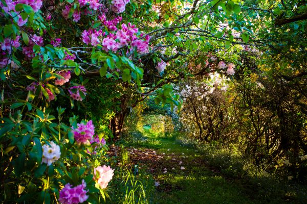 Lalla TAS Hervey Bay Accommodation