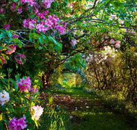 The Pear Walk - Hervey Bay Accommodation