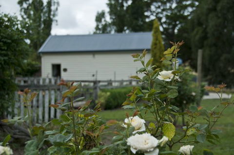 Wood Duck Cottages - Hervey Bay Accommodation 5