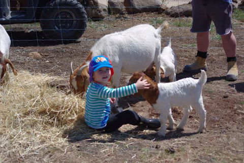 Yalooka Farm - Hervey Bay Accommodation 3
