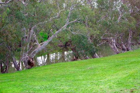 Yalooka Farm - Hervey Bay Accommodation 4