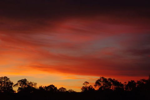Yalooka Farm - Hervey Bay Accommodation 5
