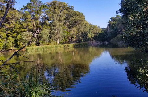 Ferny Hill Retreat - Hervey Bay Accommodation 3