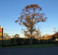 Alfred Motor Inn - Hervey Bay Accommodation