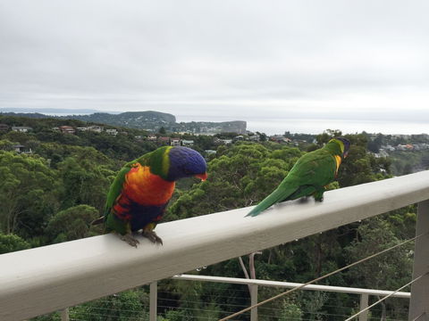 Avalon Horizons - Hervey Bay Accommodation 8