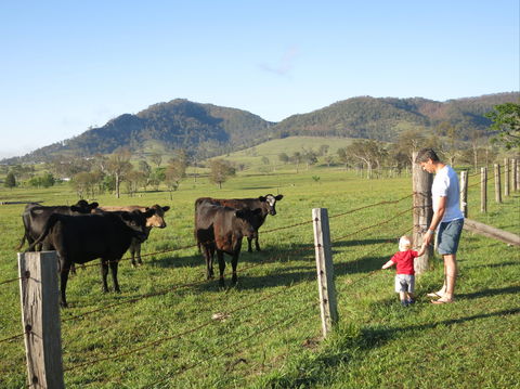 Barrington Hideaway- River Cottages - Hervey Bay Accommodation 6