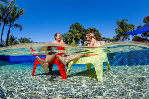 BIG4 Moruya Heads Easts Dolphin Beach Holiday Park - Hervey Bay Accommodation 1